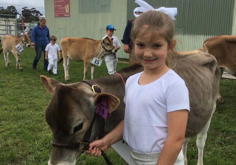 kids Dairy cattle show